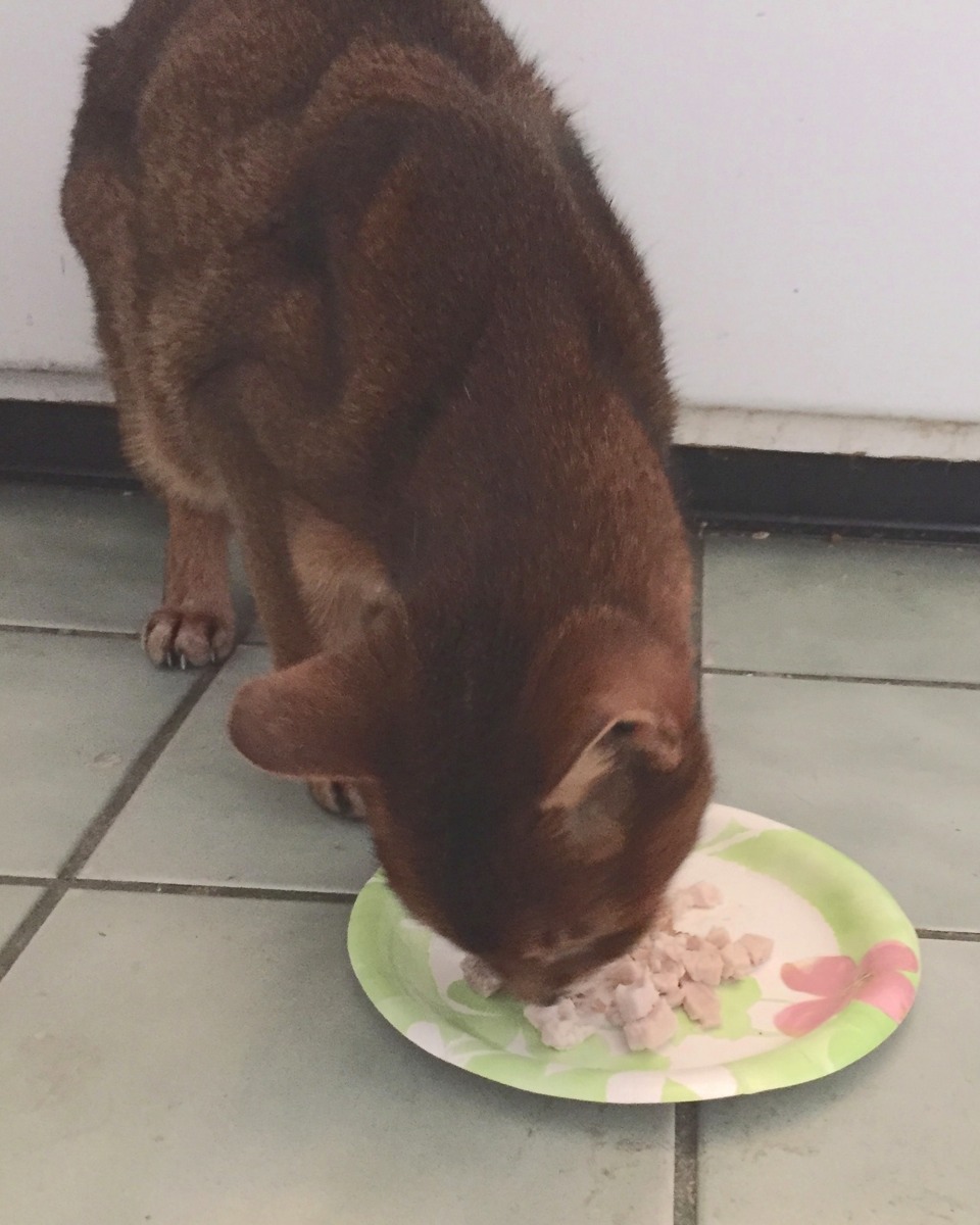 Stacks Image p71376_n71452