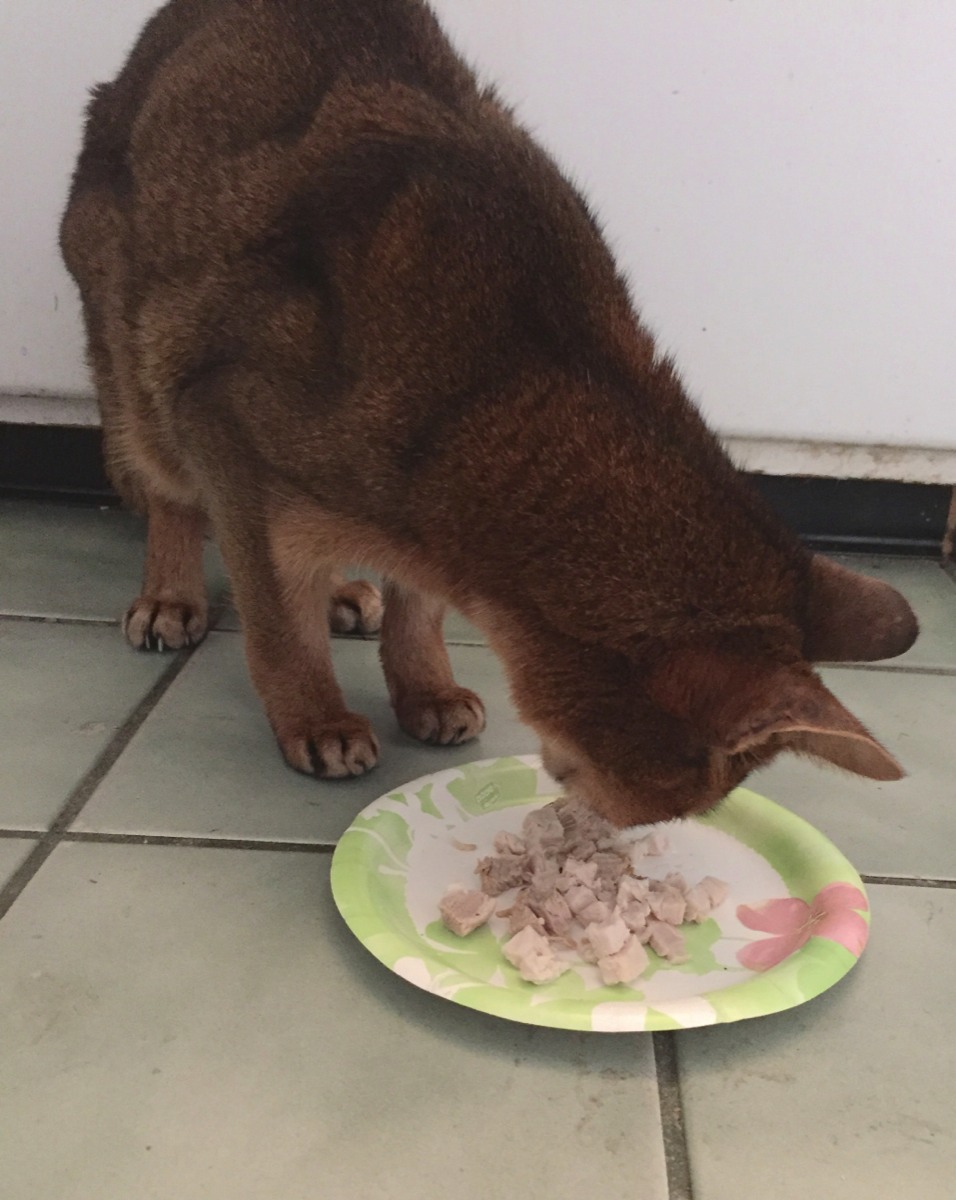 Stacks Image p71376_n71449