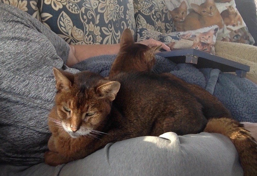 Stacks Image p71376_n71442